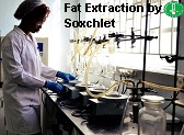 soxhlet