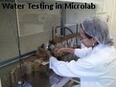 microbiology