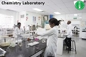 lab