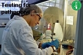 pathogens