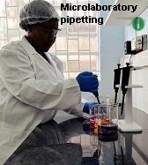 pipitting
