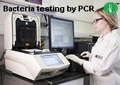 pcr